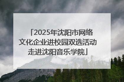 2025年沈阳市网络文化企业进校园双选活动走进沈阳音乐学院