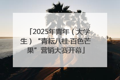 2025年青年（大学生）“青耘八桂·百色芒果”营销大赛开幕