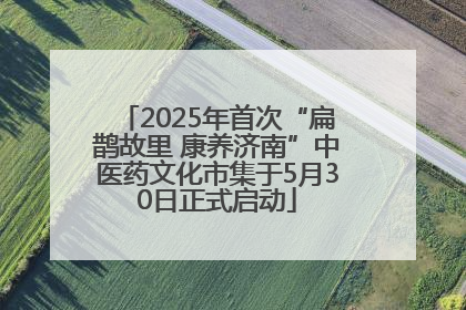 2025年首次“扁鹊故里 康养济南”中医药文化市集于5月30日正式启动