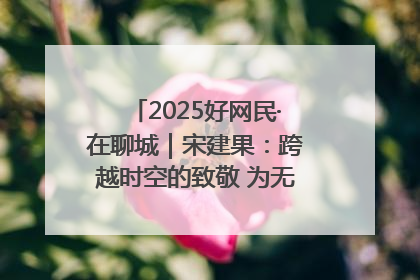 2025好网民·在聊城｜宋建果：跨越时空的致敬 为无名烈士“正名”