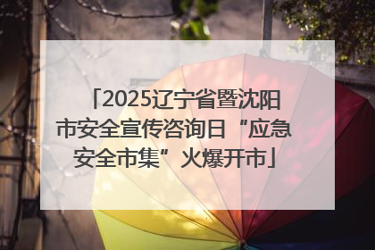 2025辽宁省暨沈阳市安全宣传咨询日“应急安全市集”火爆开市