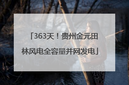 363天！贵州金元田林风电全容量并网发电