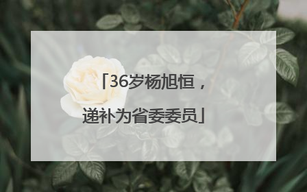36岁杨旭恒，递补为省委委员