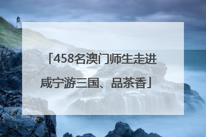458名澳门师生走进咸宁游三国、品茶香