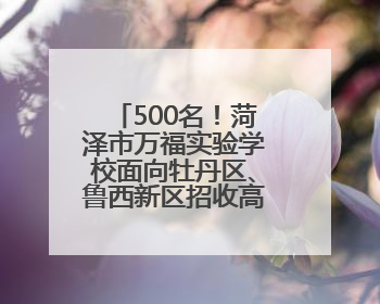 500名！菏泽市万福实验学校面向牡丹区、鲁西新区招收高一新生