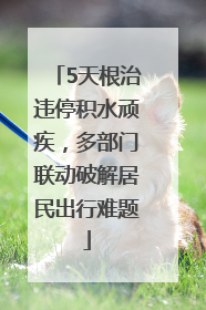 5天根治违停积水顽疾，多部门联动破解居民出行难题