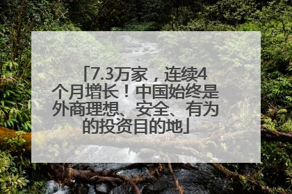 7.3万家，连续4个月增长！中国始终是外商理想、安全、有为的投资目的地