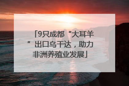 9只成都“大耳羊”出口乌干达，助力非洲养殖业发展