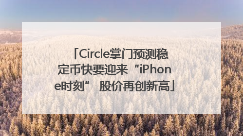 Circle掌门预测稳定币快要迎来“iPhone时刻” 股价再创新高