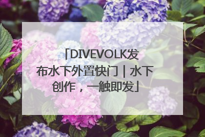 DIVEVOLK发布水下外置快门｜水下创作，一触即发