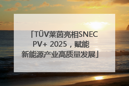 TÜV莱茵亮相SNEC PV+ 2025，赋能新能源产业高质量发展